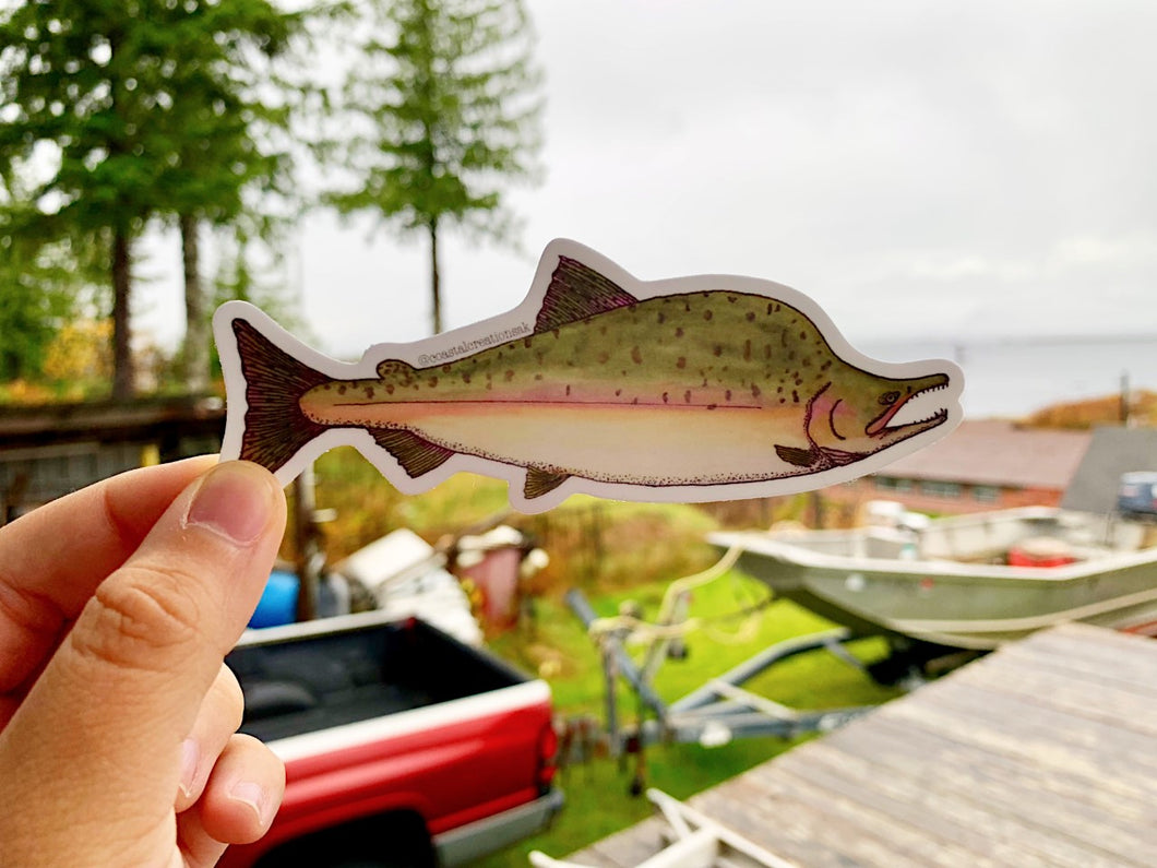 Pink Salmon Sticker