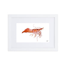 Load image into Gallery viewer, Framed Spot Shrimp Print